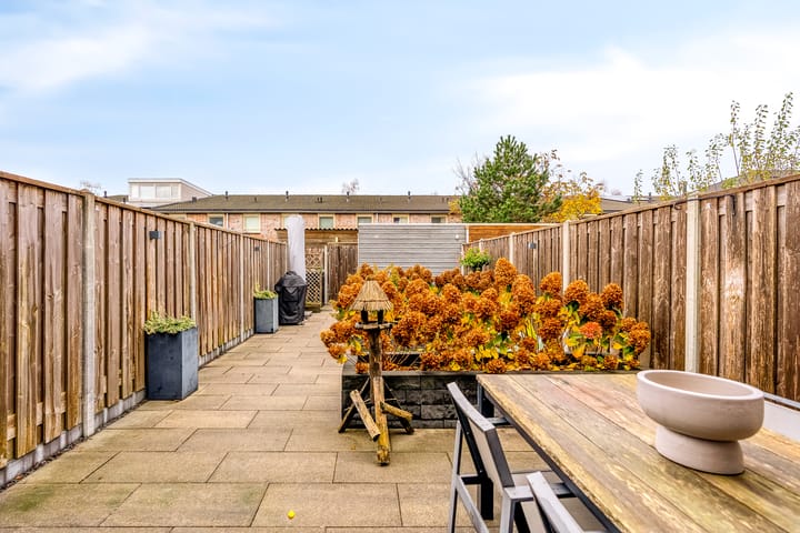 Foto 9 van Salvador Daliplantsoen 27