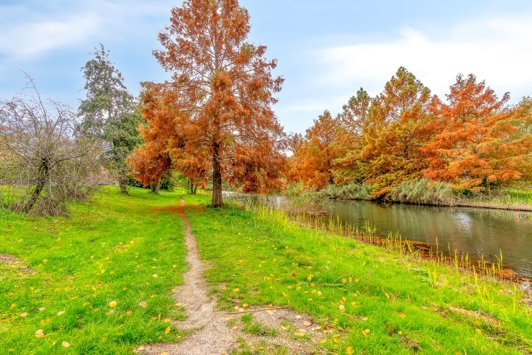 Foto 37 van Salvador Daliplantsoen 27