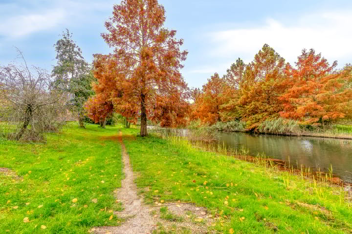 Foto 37 van Salvador Daliplantsoen 27