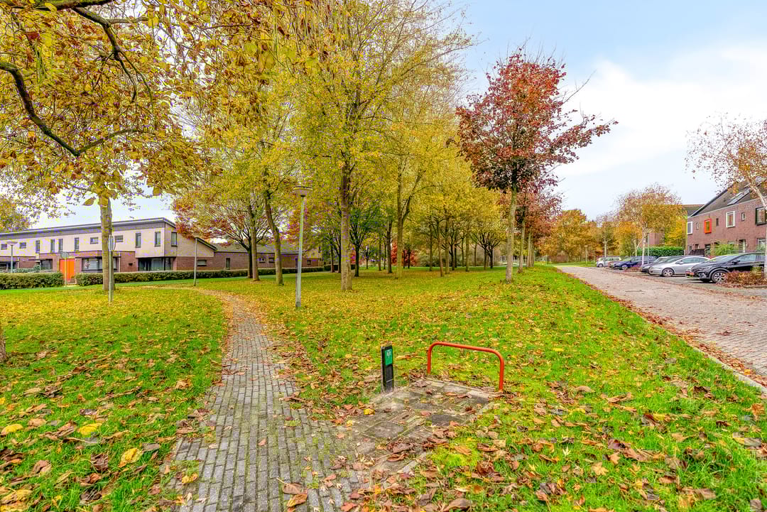 Foto 38 van Salvador Daliplantsoen 27