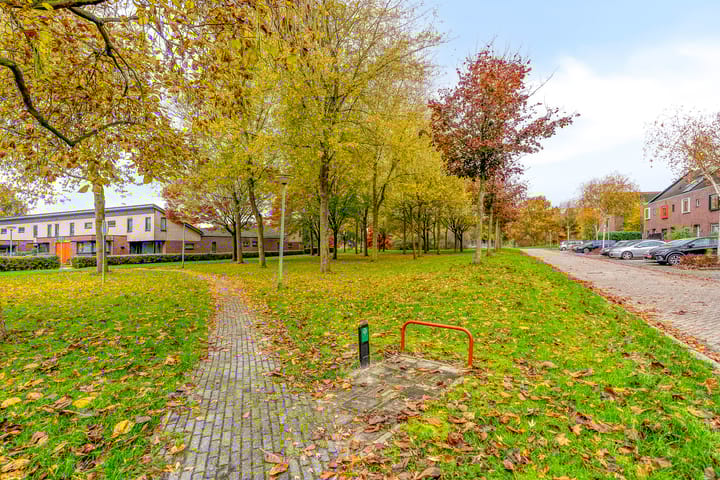 Foto 38 van Salvador Daliplantsoen 27