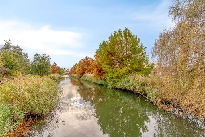 Foto 41 van Salvador Daliplantsoen 27