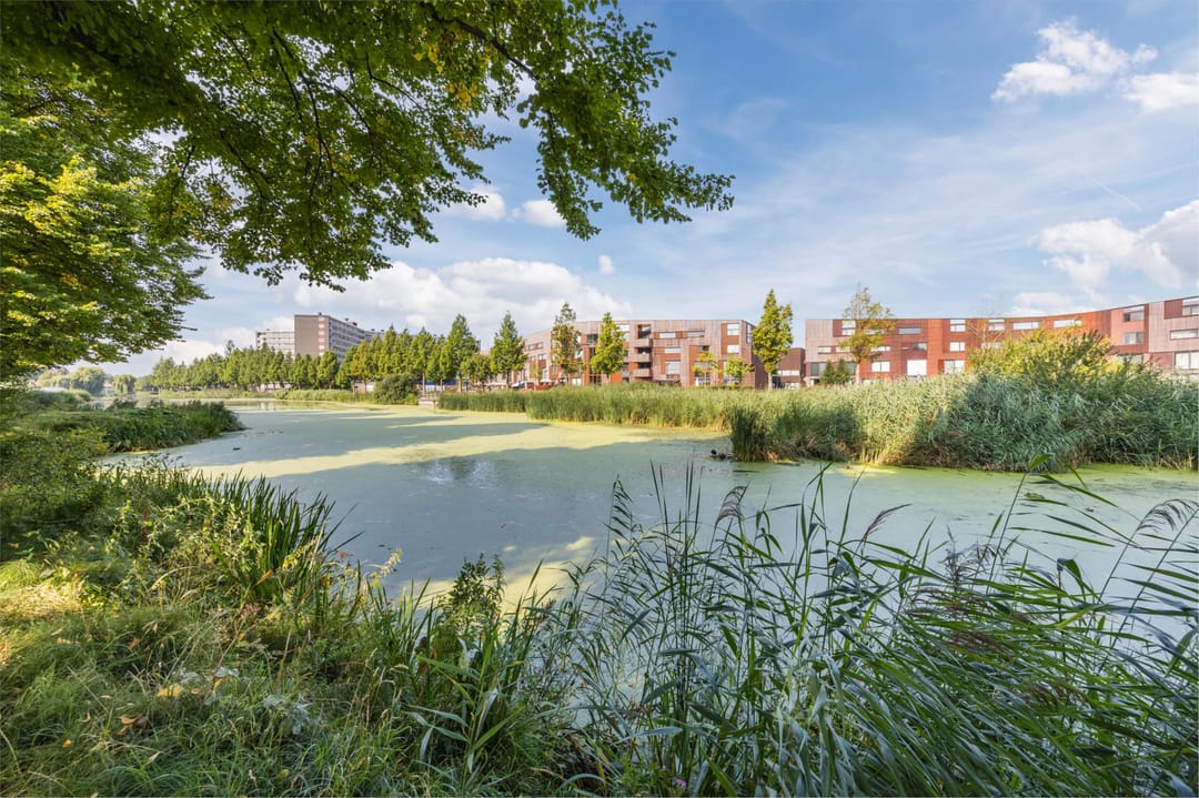 Foto 52 van De Hooght 86