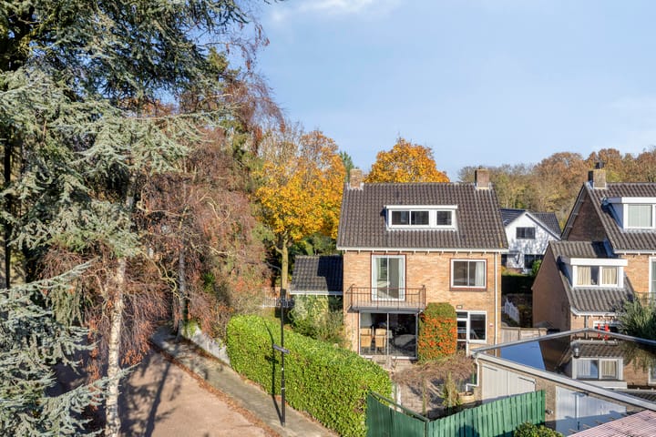 Foto 2 van Angsteloord 36