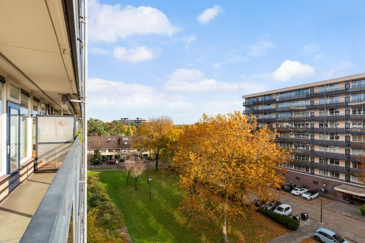 Foto 25 van Goudvinklaan 66