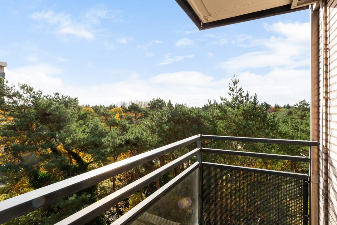 Photo 26 of Goudvinklaan 66