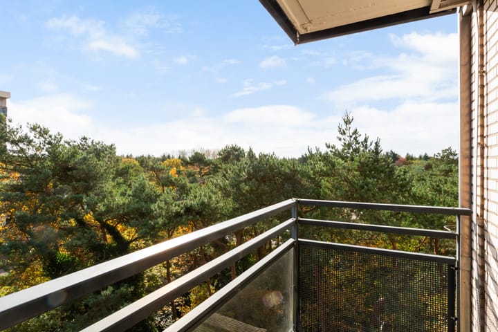 Foto 26 van Goudvinklaan 66