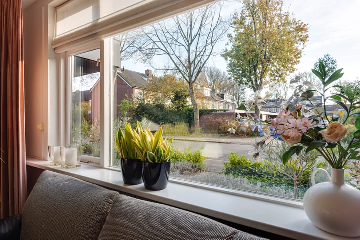 Foto 6 van Termijen 42