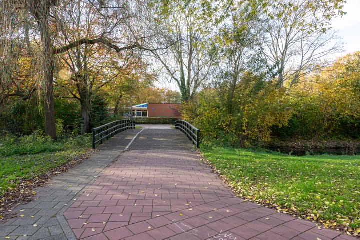 Foto 35 van Termijen 42