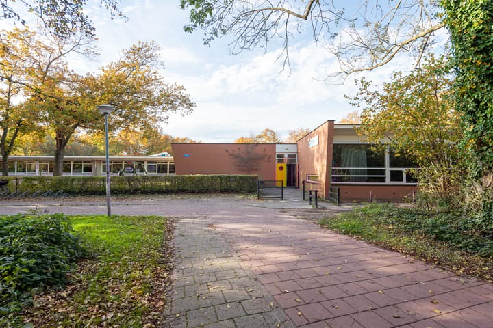 Foto 37 van Termijen 42