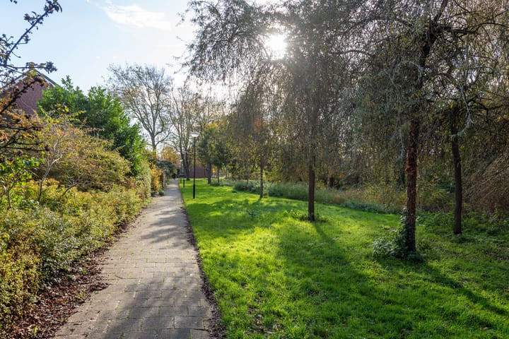 Foto 38 van Termijen 42