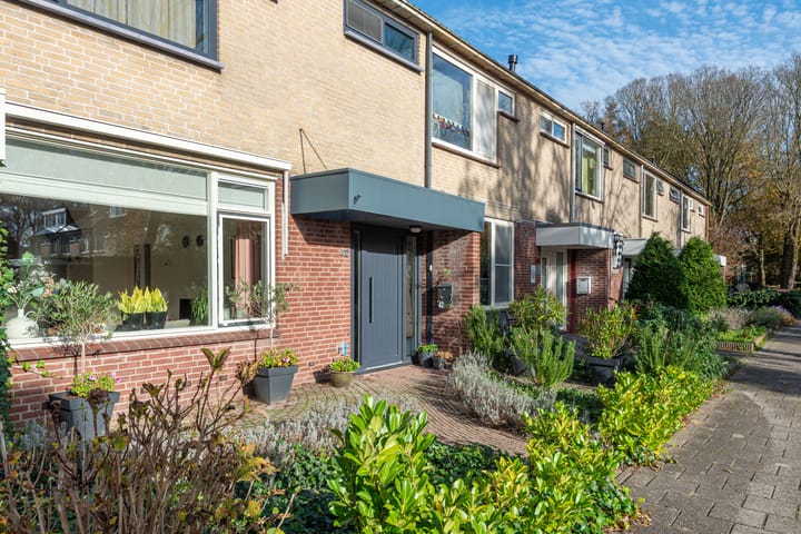 Foto 39 van Termijen 42