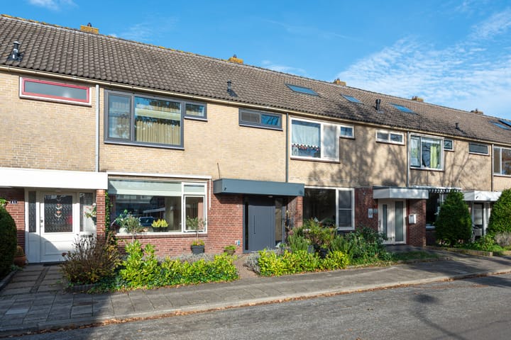 Foto 41 van Termijen 42