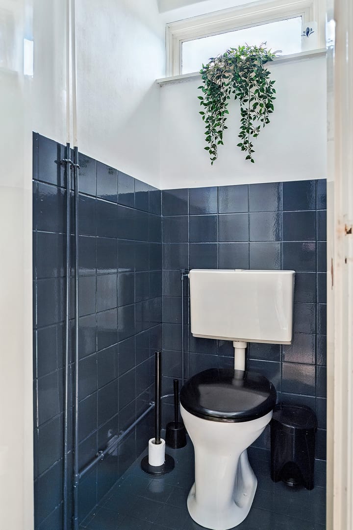 Foto 3 van Begoniastraat 28