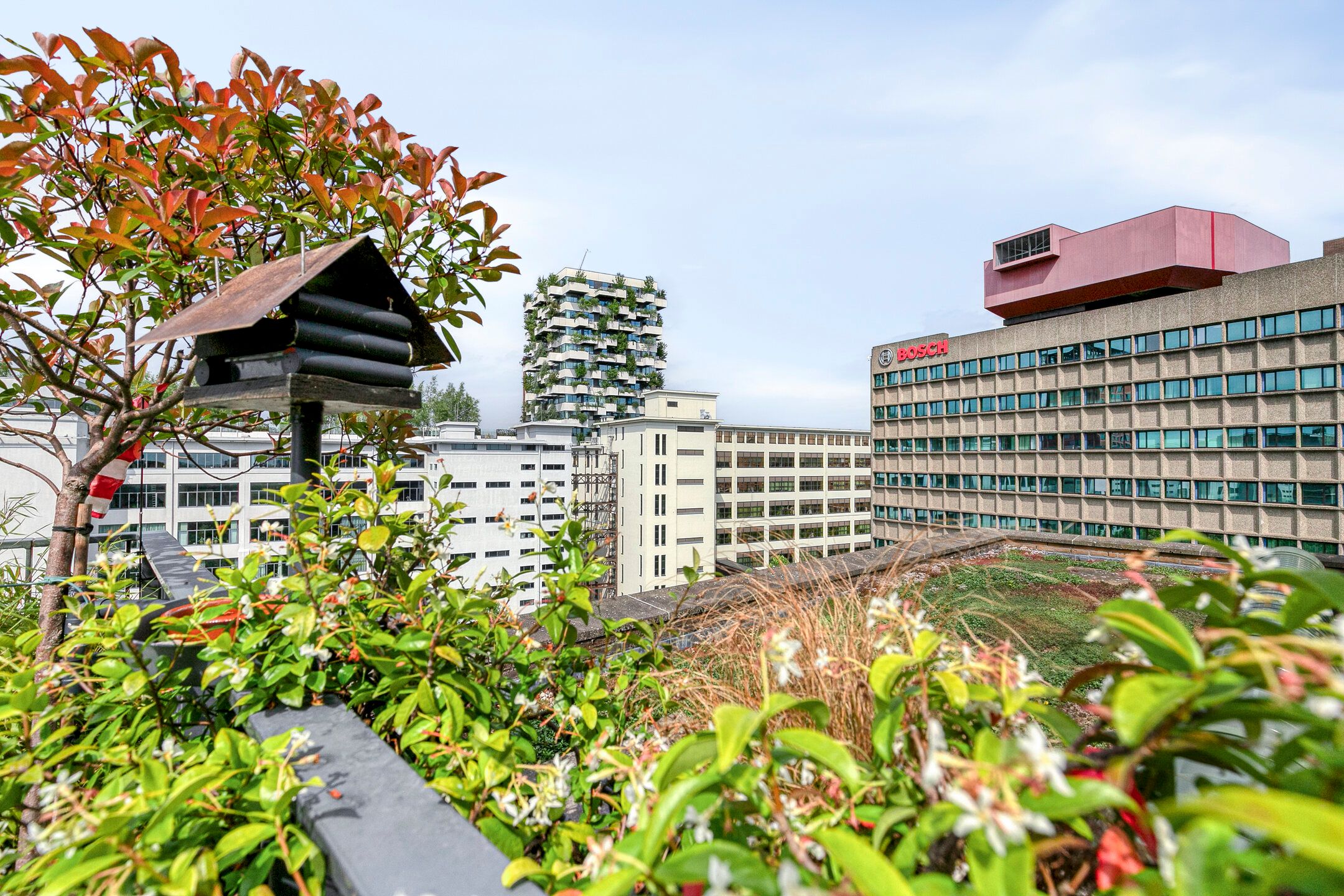 Foto 36 van Ir Kalffstraat 313