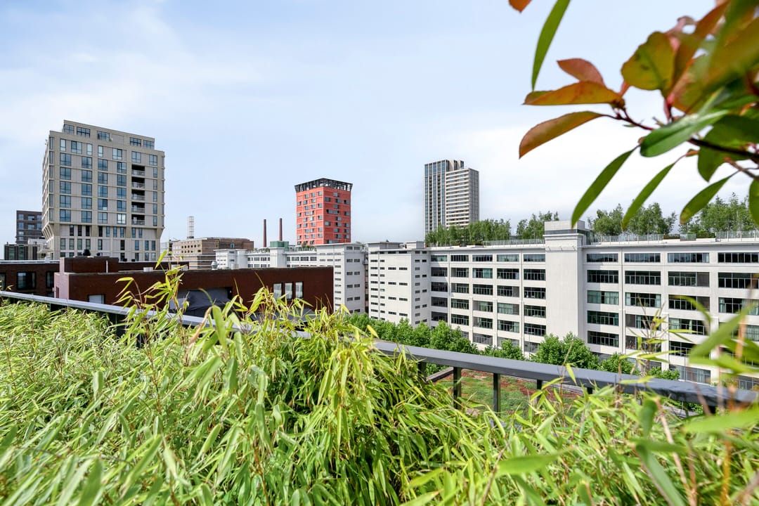 Foto 37 van Ir Kalffstraat 313