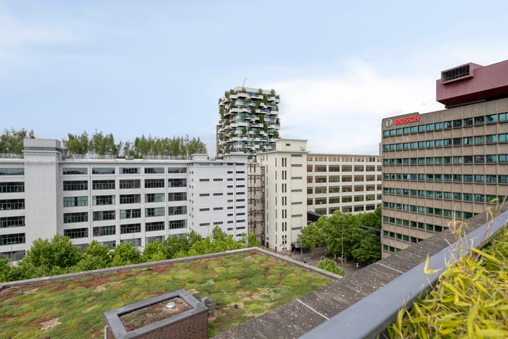 Photo 38 of Ir Kalffstraat 313