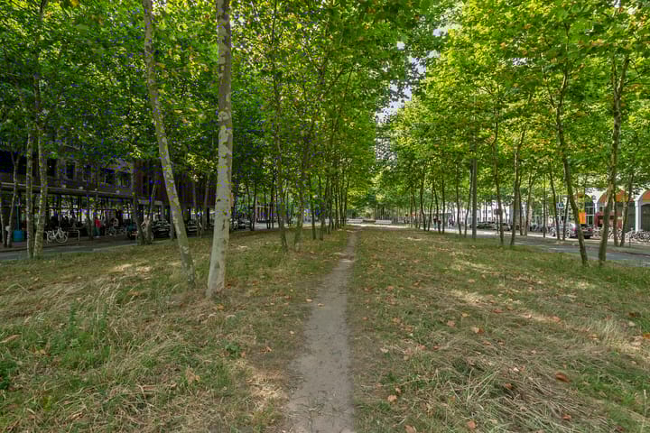 Photo 51 of Ir Kalffstraat 313