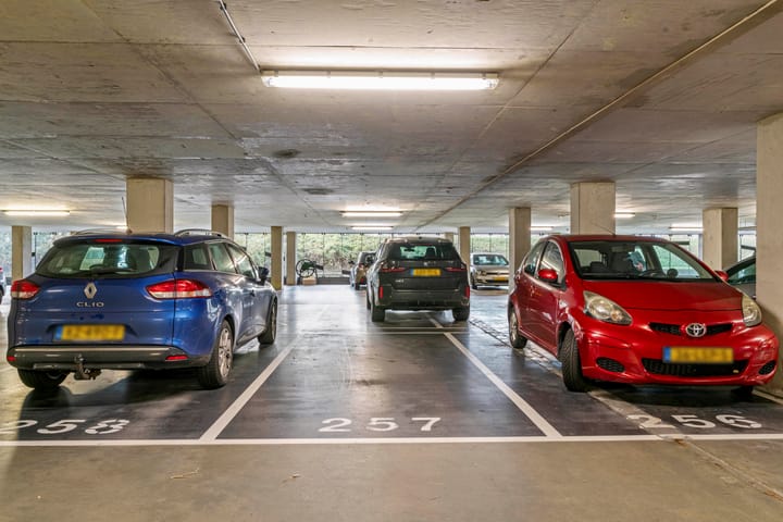 Foto 28 van Kaapstander 44