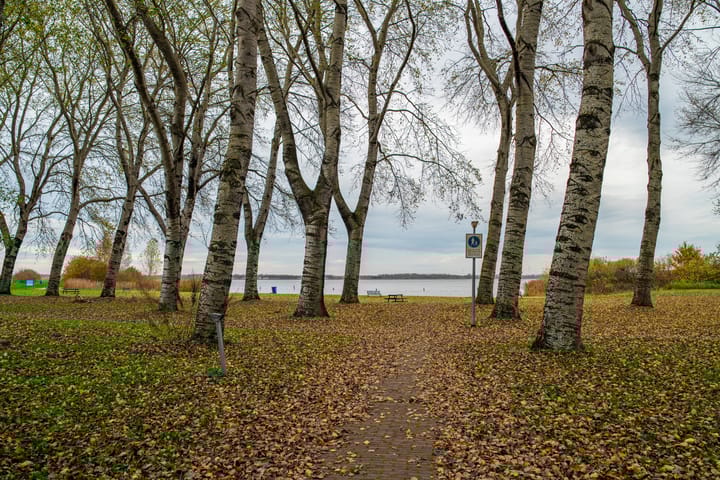 Foto 48 van Alaskastroom 10