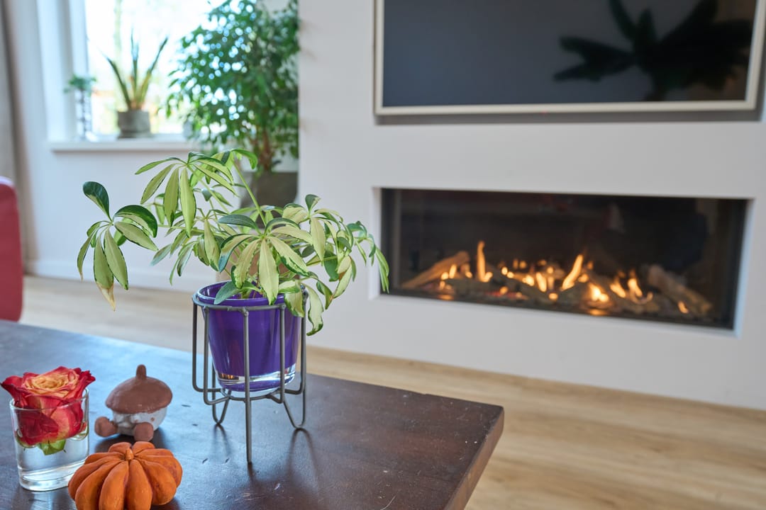 Foto 11 van Friesegracht 5