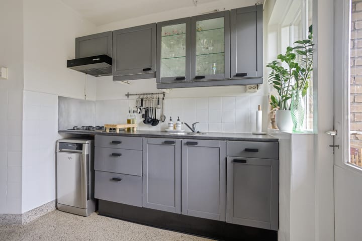 Photo 10 of Frans Halslaan 59