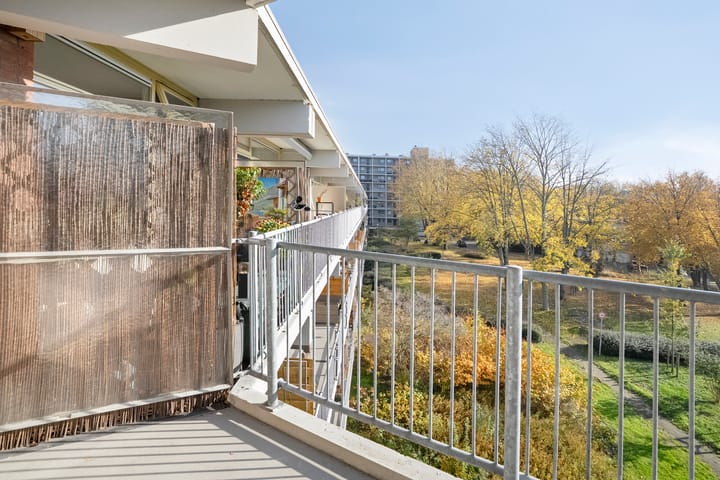 Foto 10 van Amerbos 177