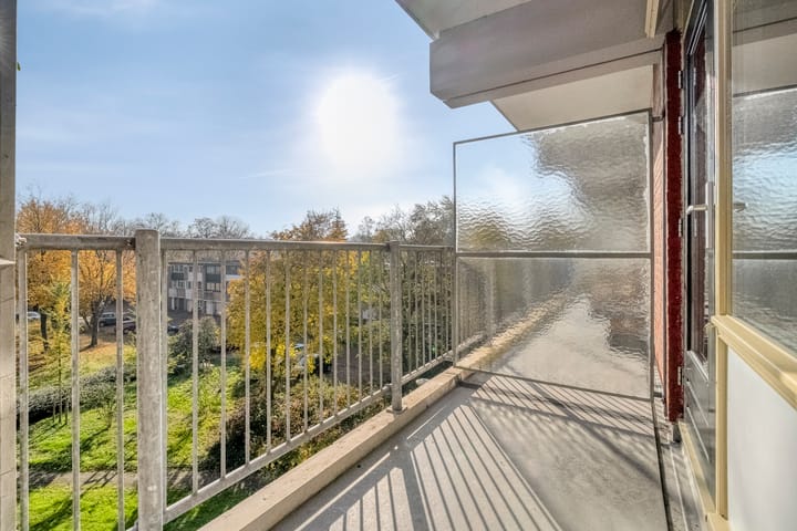 Foto 11 van Amerbos 177