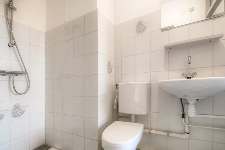 Foto 18 van Amerbos 177