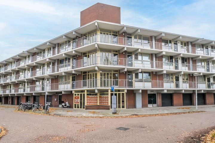 Foto 2 van Amerbos 177