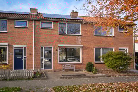 undefined main image