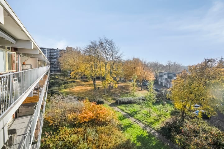 Foto 12 van Amerbos 177