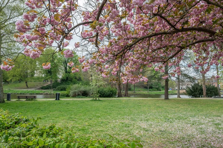 Foto 57 van Delftlaan 9