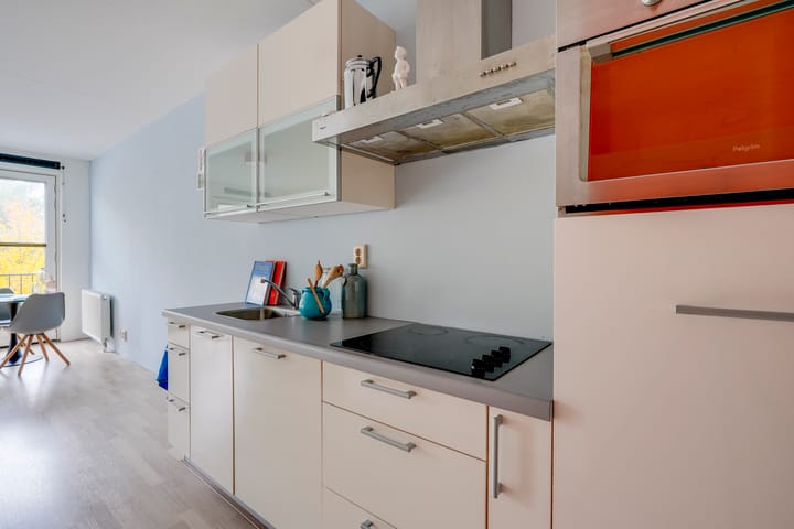 Foto 2 van Ina Boudier-Bakkerlaan 18-D