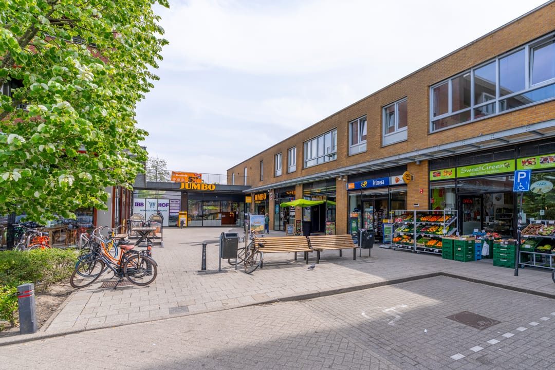 Foto 32 van Ina Boudier-Bakkerlaan 18-D