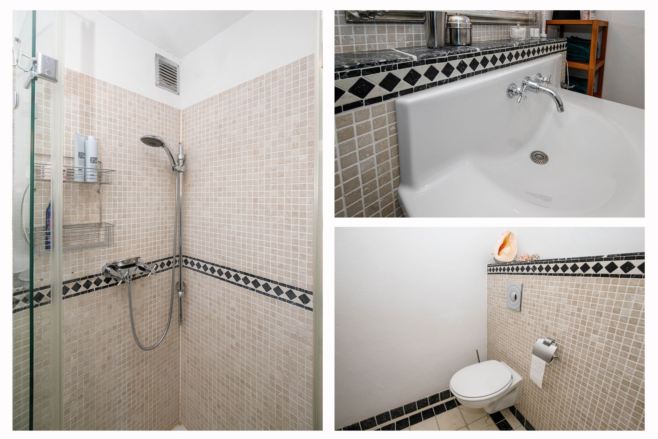 Photo 21 of Auguste Renoirrade 6