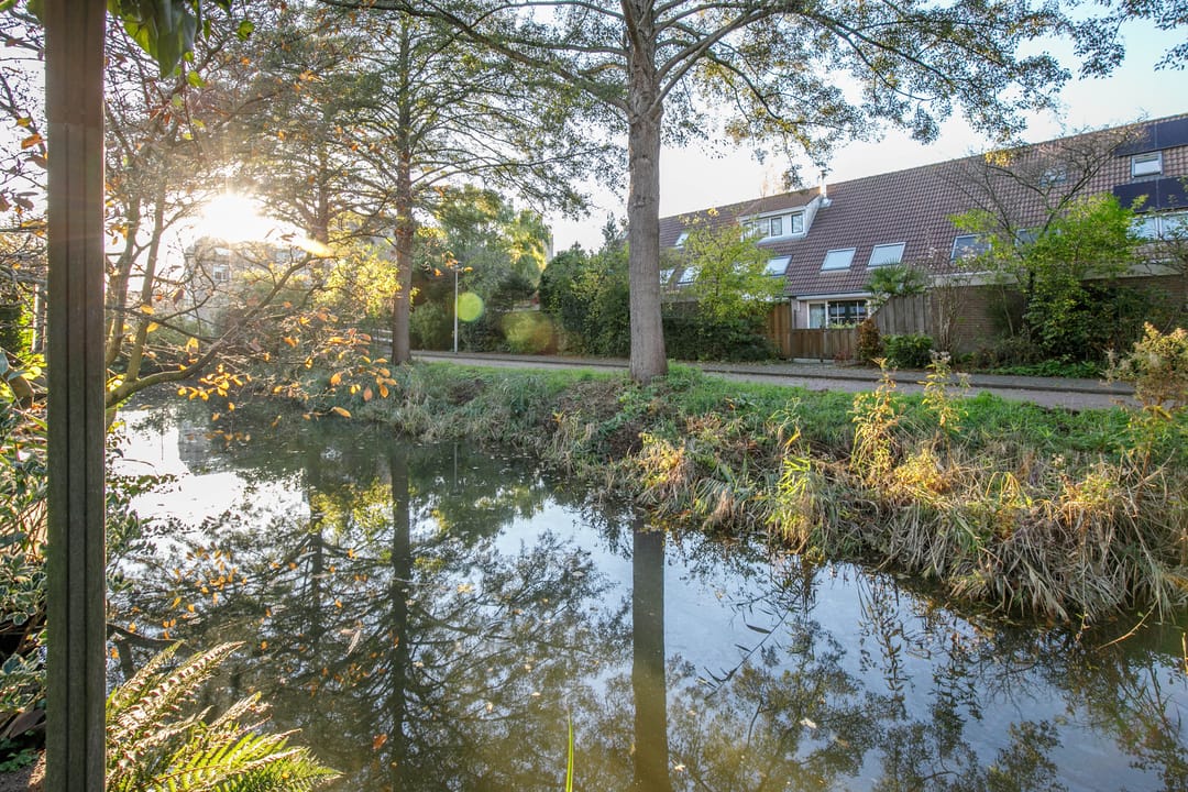 Photo 32 of Auguste Renoirrade 6