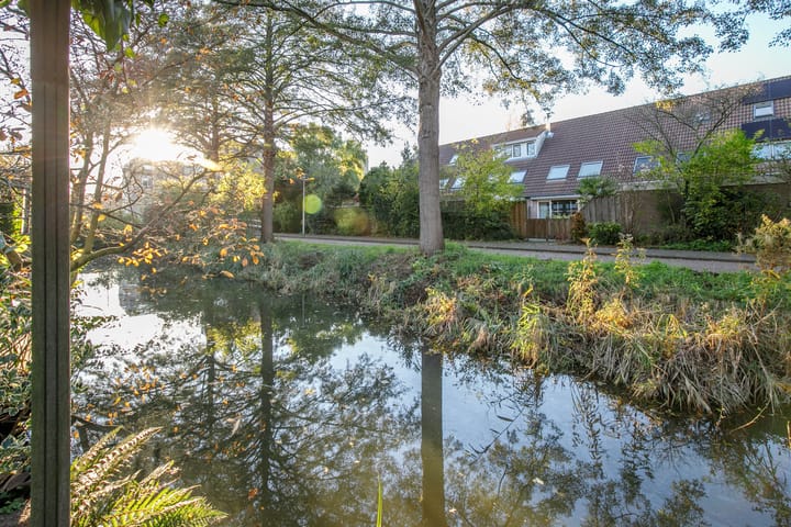 Foto 32 van Auguste Renoirrade 6