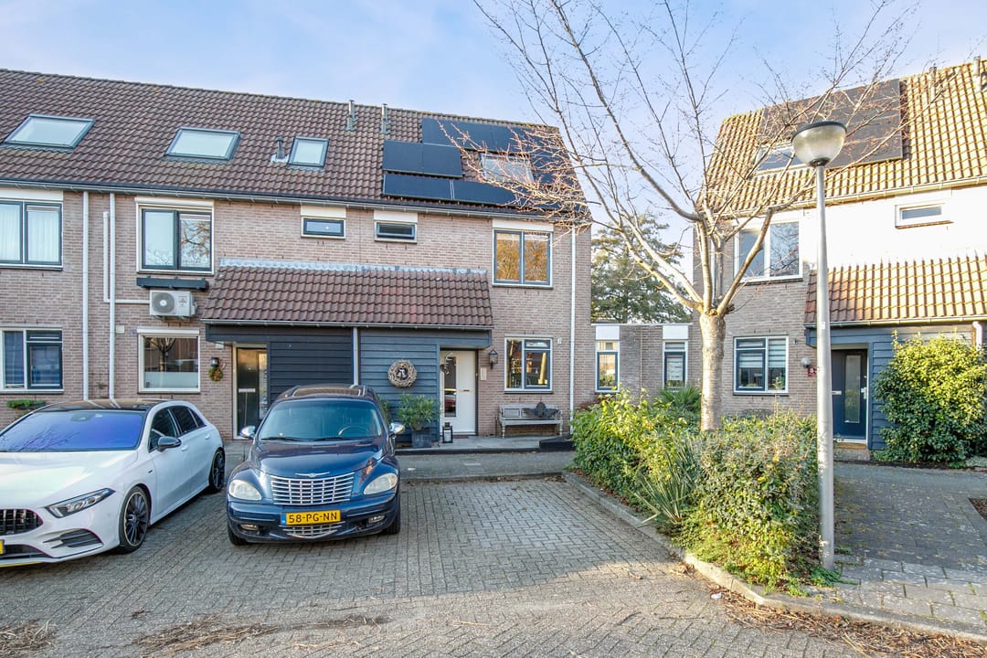 Photo 38 of Auguste Renoirrade 6