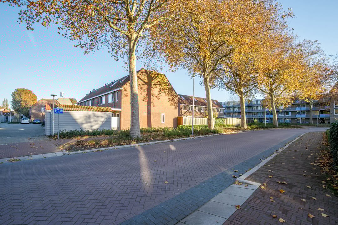 Photo 41 of Auguste Renoirrade 6