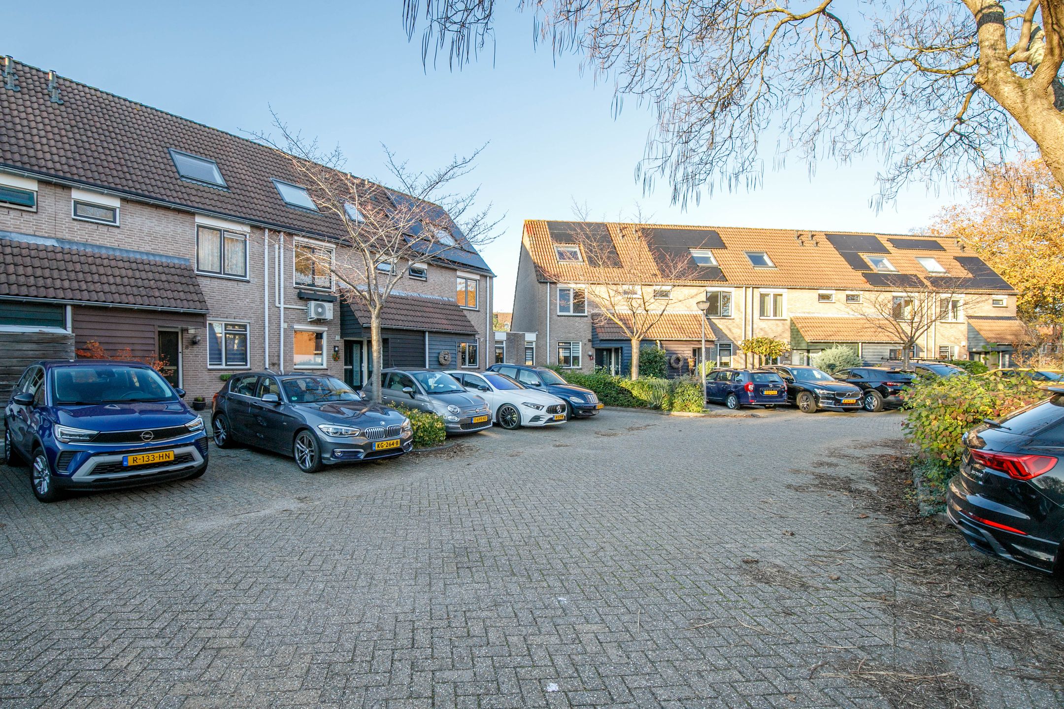 Photo 45 of Auguste Renoirrade 6