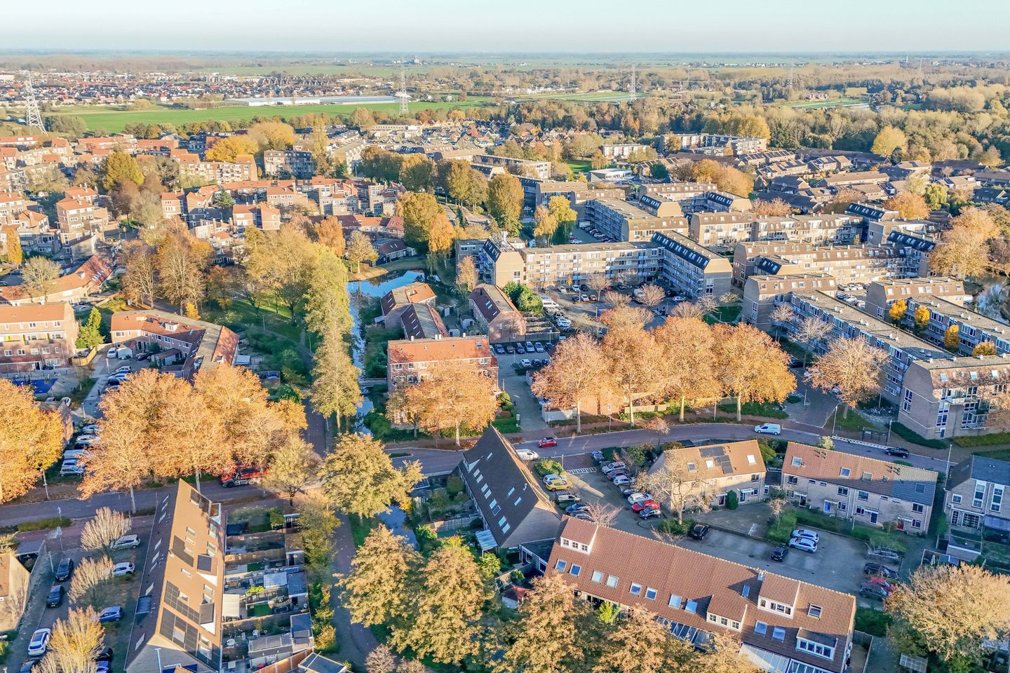 Photo 49 of Auguste Renoirrade 6