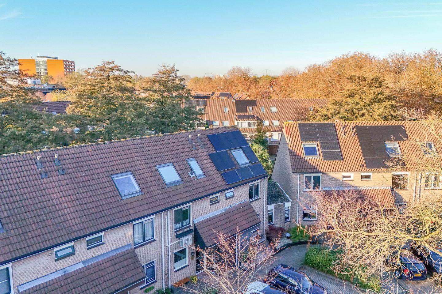 Photo 50 of Auguste Renoirrade 6