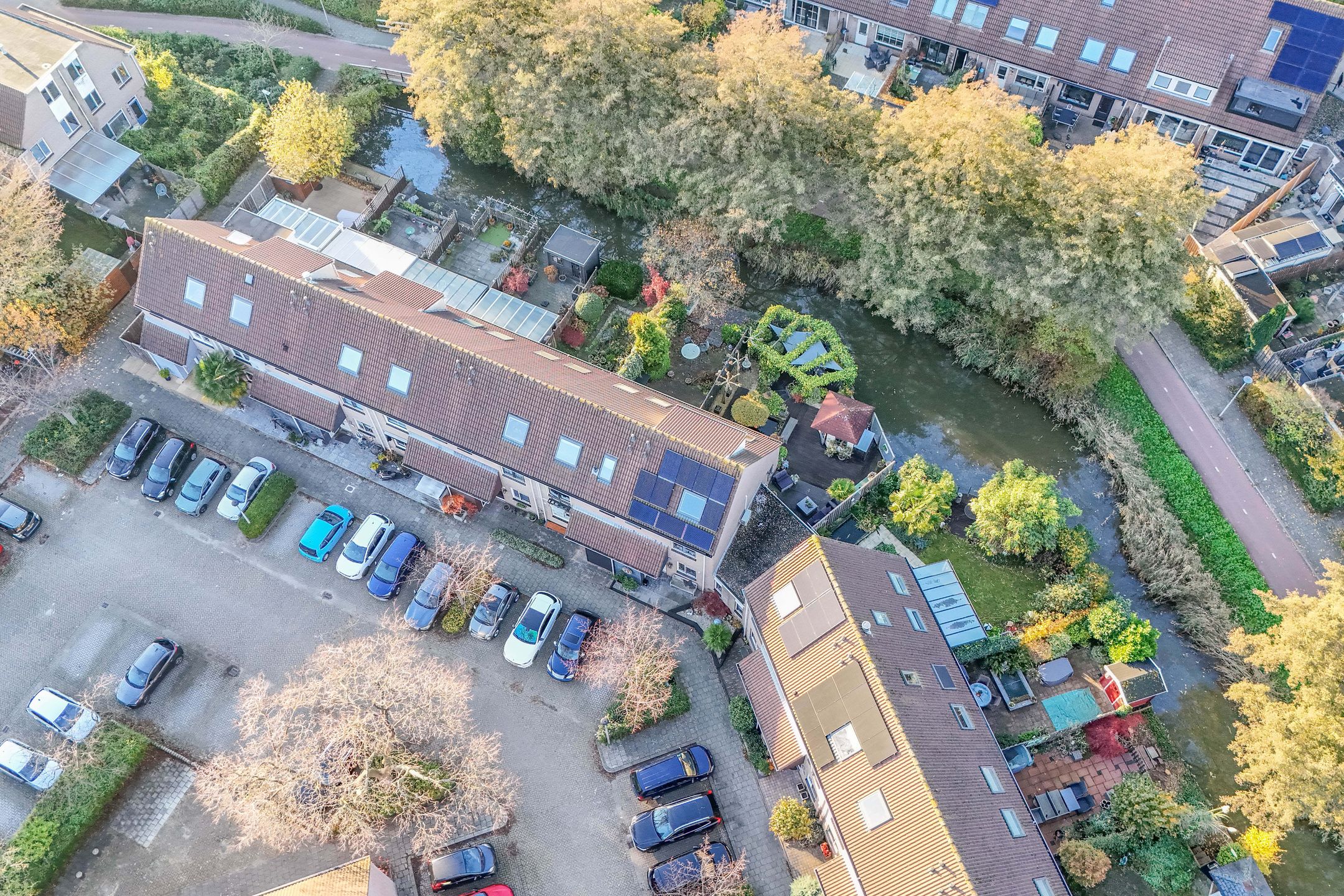 Photo 51 of Auguste Renoirrade 6