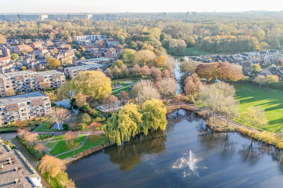 Photo 53 of Auguste Renoirrade 6