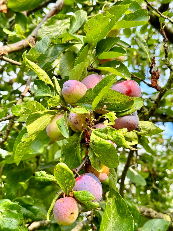 Photo 7 of Lage Giessen 17