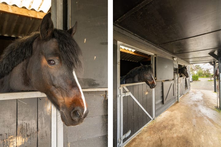 Photo 9 of Lage Giessen 17