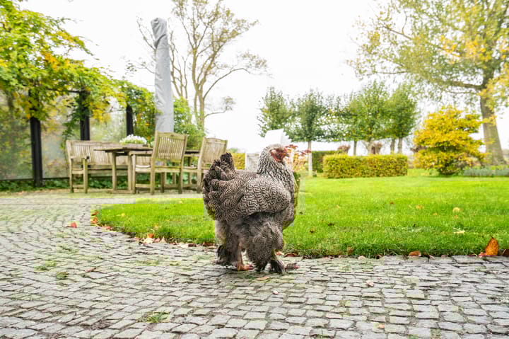 Photo 48 of Lage Giessen 17