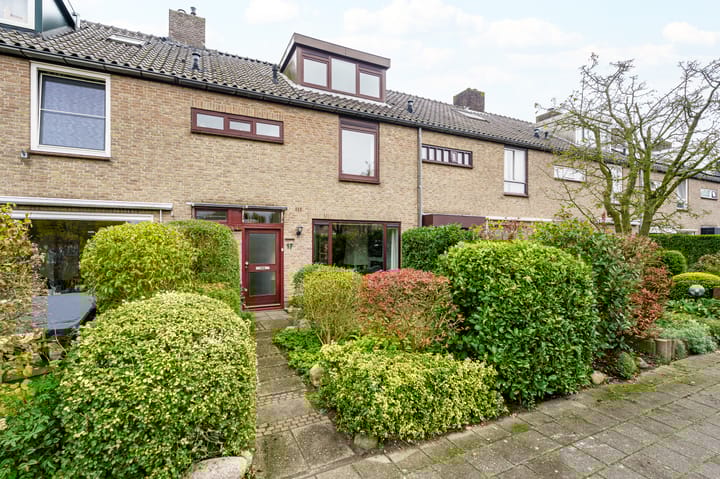 Alberikpad 17 main image