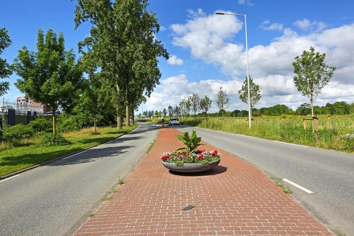 Foto 42 van Leksmondhof 217